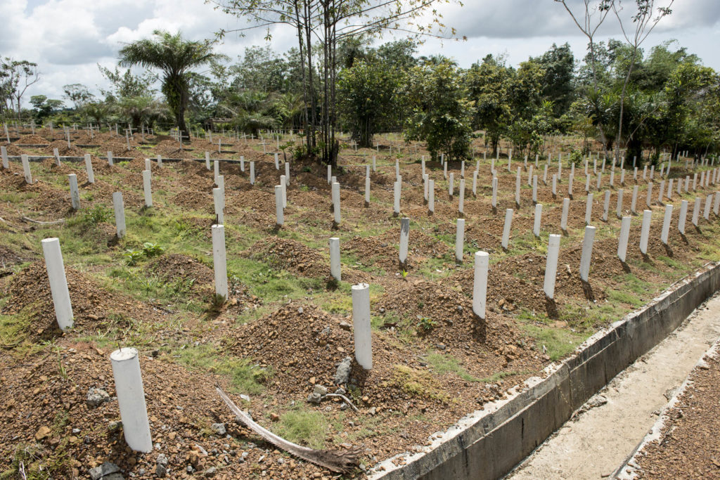 Ebola Graveyard